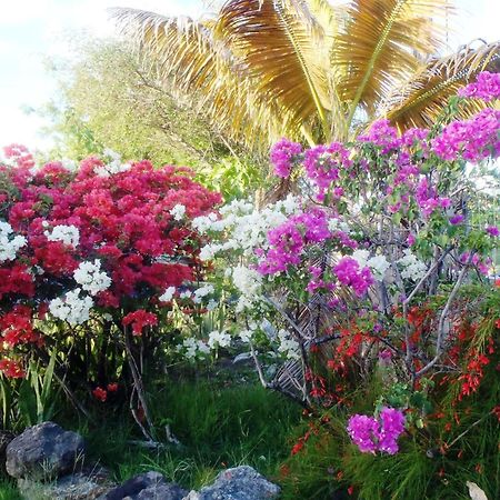 The Lodge - Antigua English Harbour エクステリア 写真