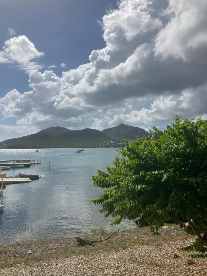 The Lodge - Antigua English Harbour エクステリア 写真